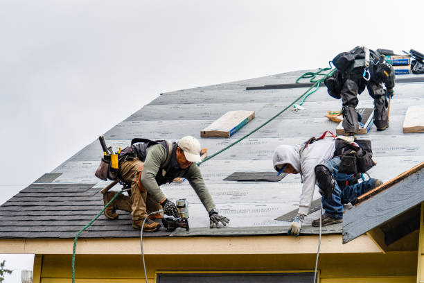 Professional Roofing technician working in Hampton, IL